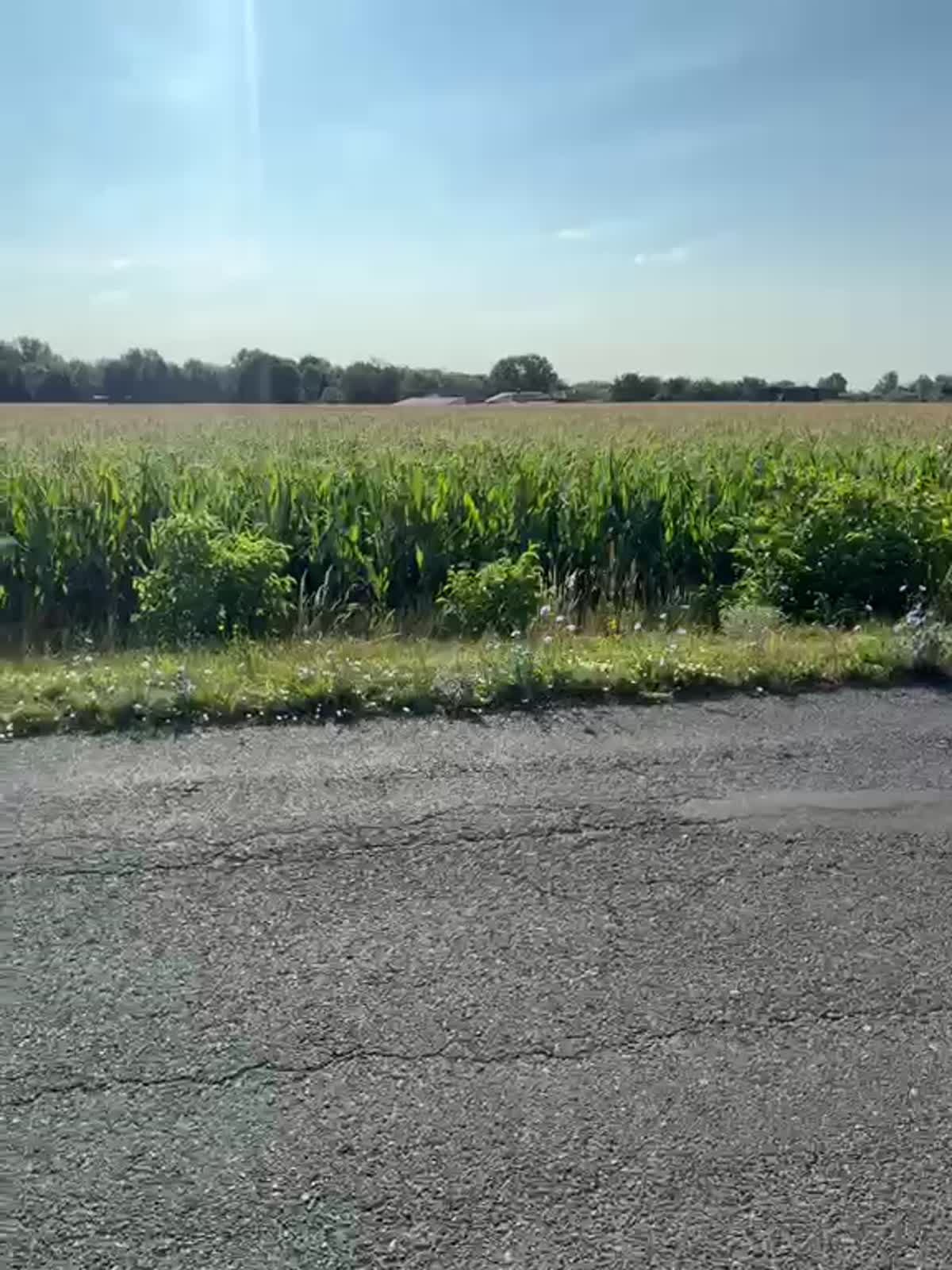 Video-Standbild aus der Fahrt durch Ungarn