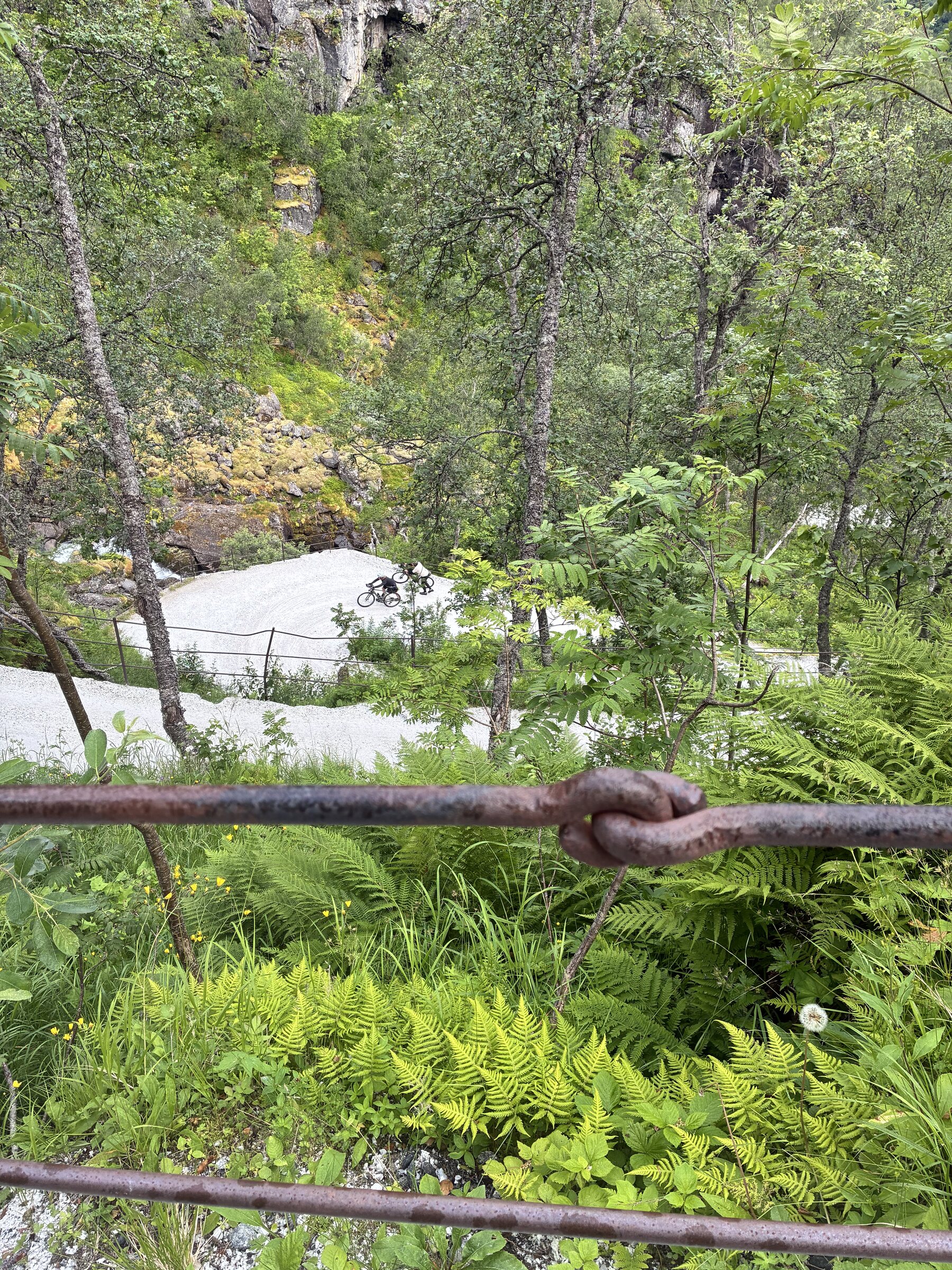 Landschaft und Weg im Rallarvegen
