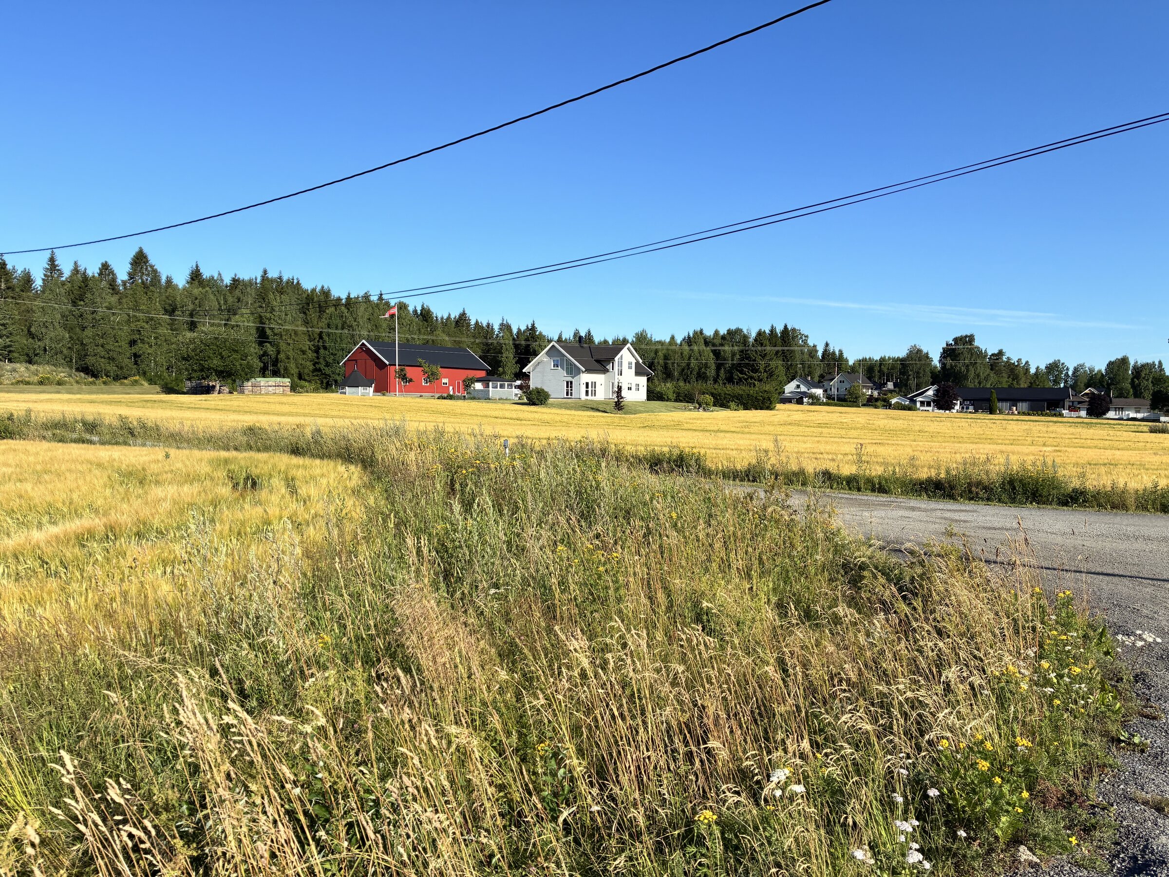 Felder und Häuser in der offenen Landschaft Schwedens