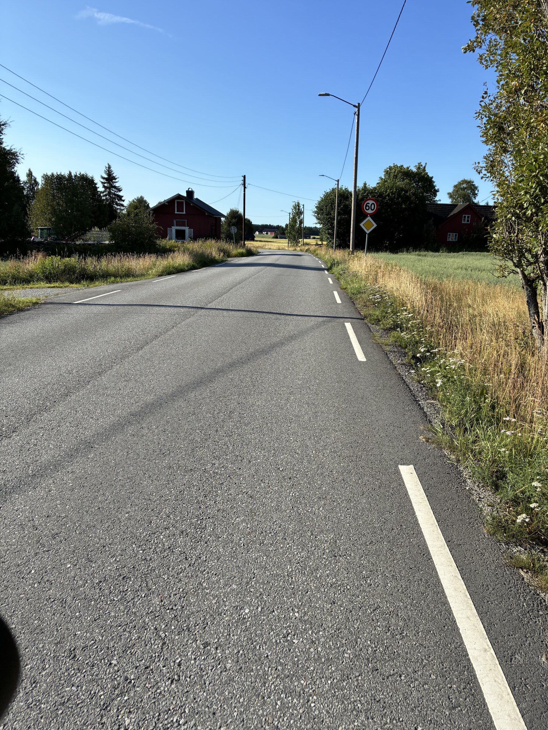 Straße durch den schwedischen Wald aus der Fahrperspektive