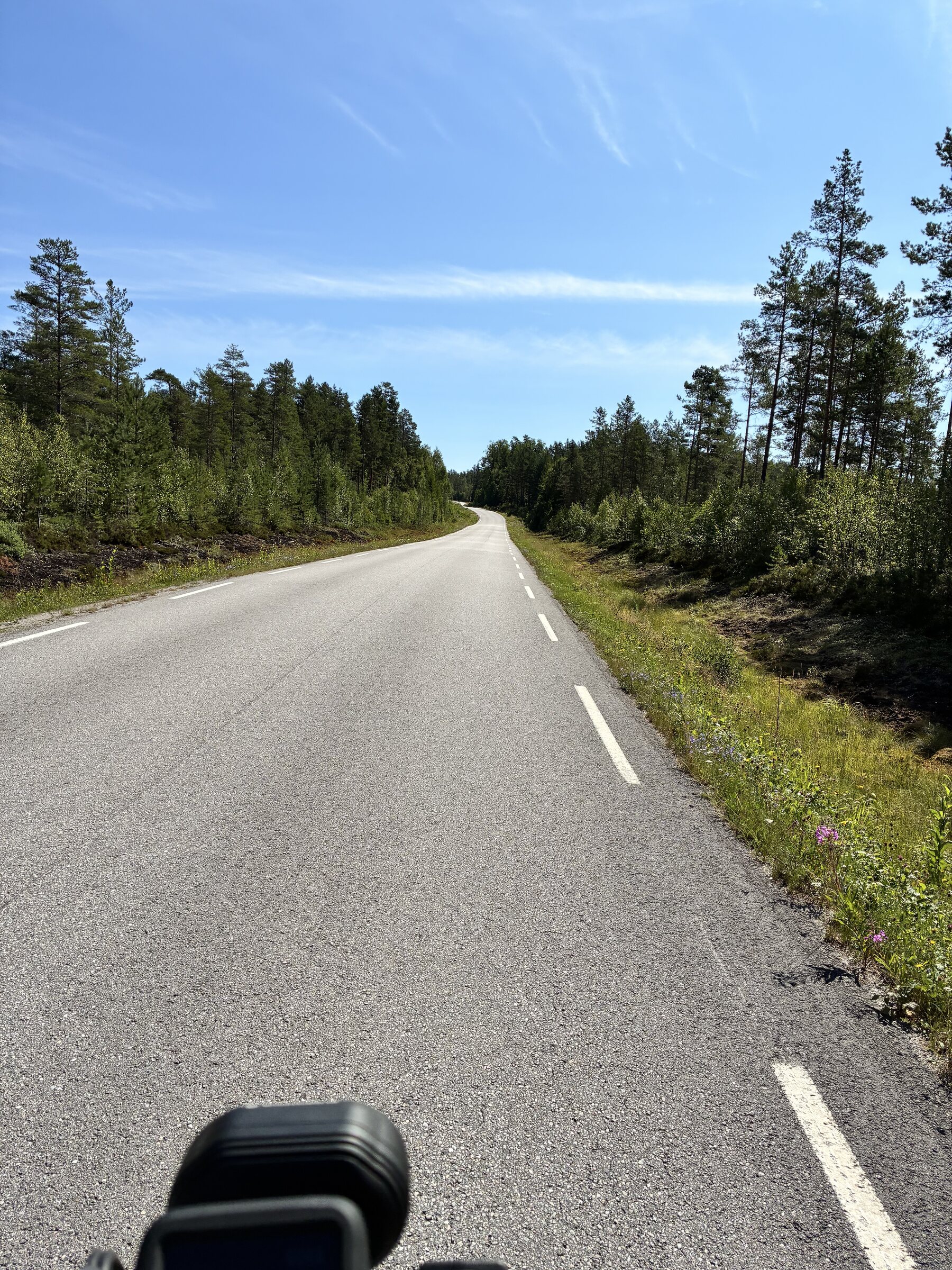 Waldstraße aus der Fahrt heraus