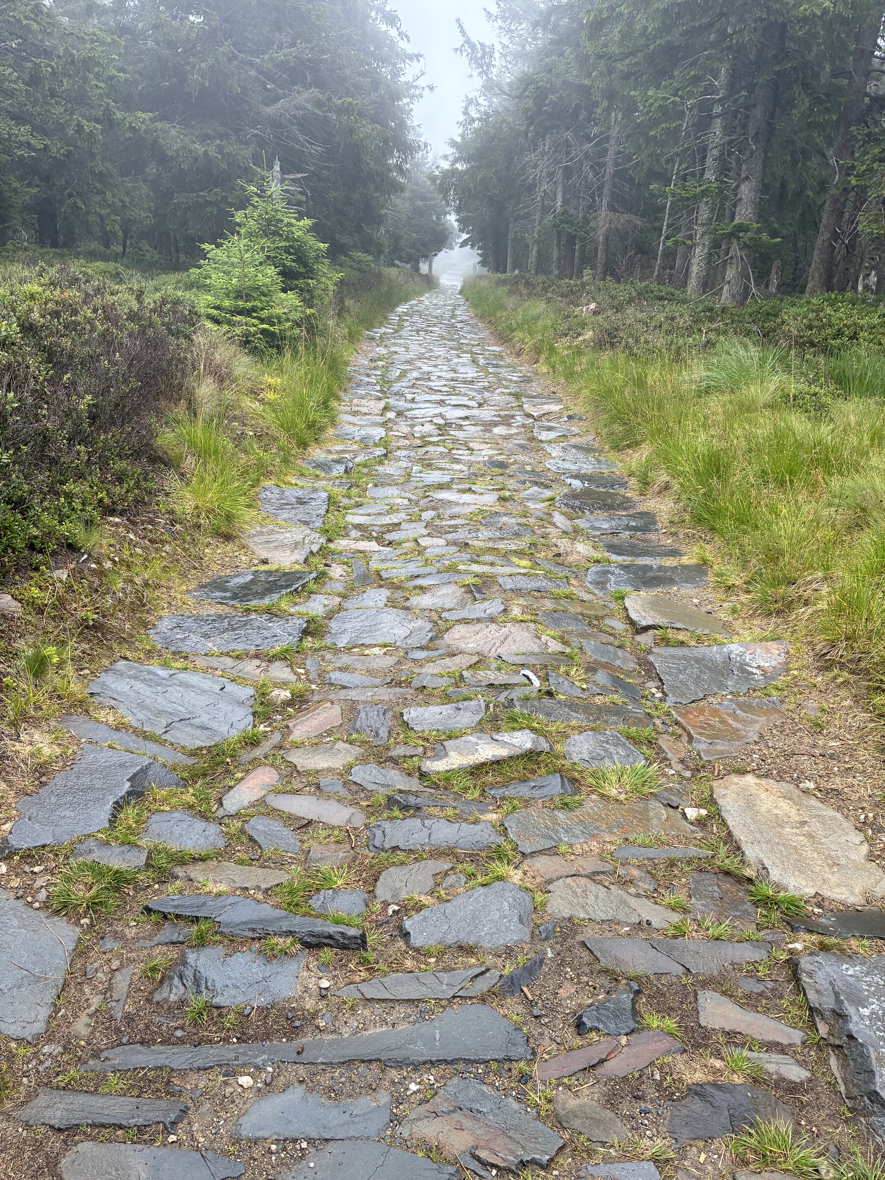 TCRNO12 – Tag 9: Parcours 1A und bis kurz vor 1B